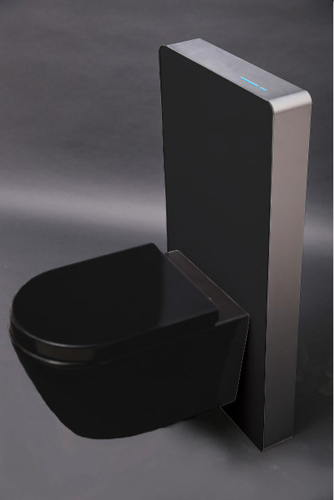 WC compleet pakket 33: WC B-8030R Zwart