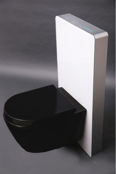 Compleet WC-pakket 39: WC B-8030R Zwart Mat