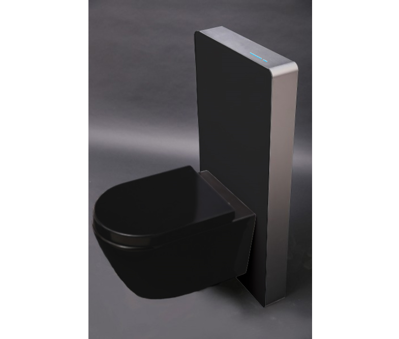 WC compleet pakket 33: WC B-8030R Zwart