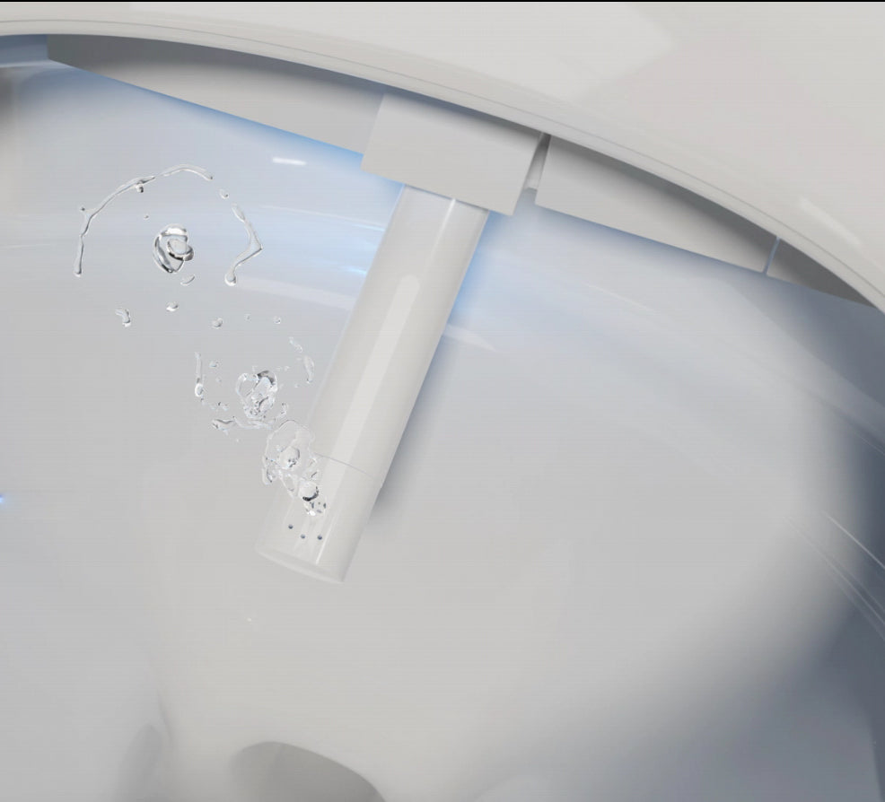 WC-set compleet: Douch-wc 540 PRO met Geberit Duofix voorwandelement