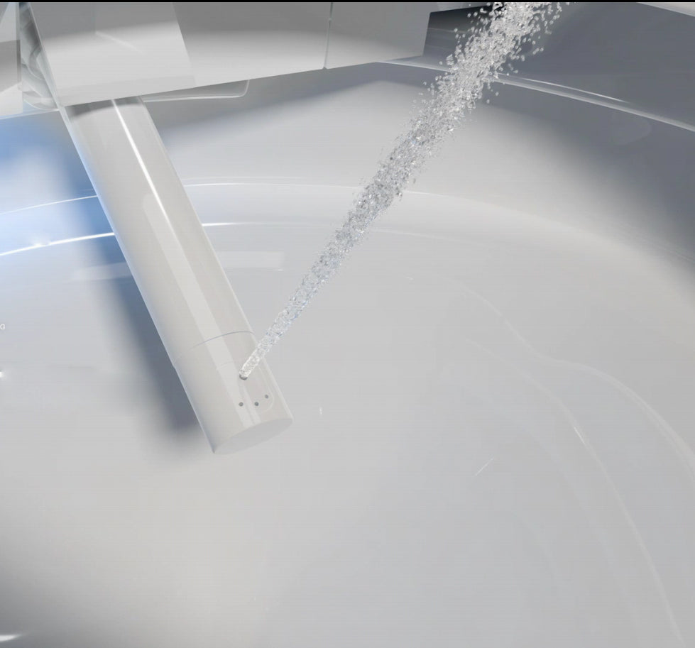 WC-set compleet: Douch-wc 540 PRO met Geberit Duofix voorwandelement
