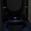 Softclose WC-zitting U1002