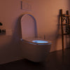 Toiletset compleet: Douche-wc PRO+1102 met Geberit Duofix voorwandelement
