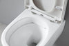 Randloos toilet NANO NT2039 - incl. toiletzitting soft-close deksel - wit glanzend 